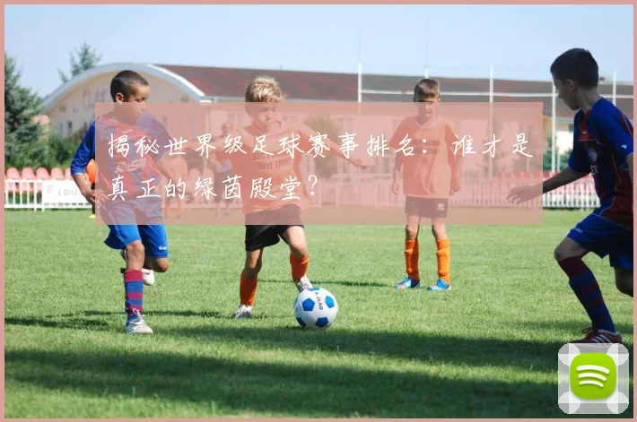 揭秘世界级足球赛事排名：谁才是真正的绿茵殿堂？